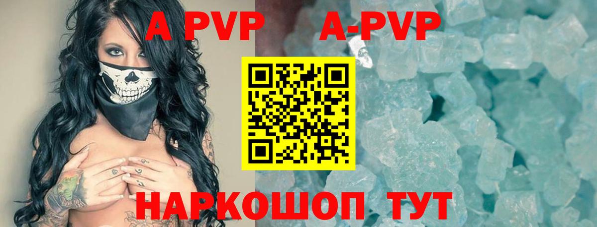 A PVP СК Сокол