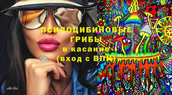 гашик Покров