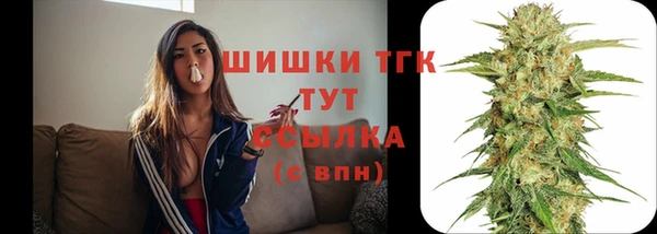амф Покачи