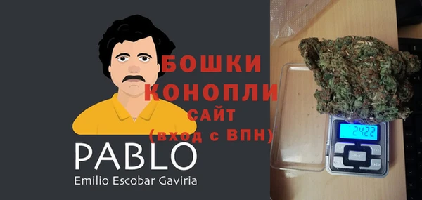 амф Покачи