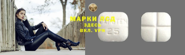 амф Покачи