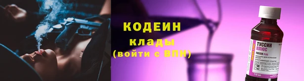 гашик Покров