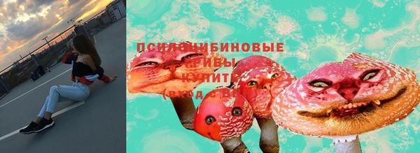 гашик Покров