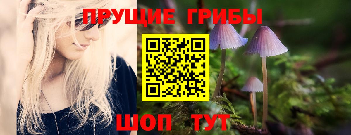 Сокол  Галлюциногенные грибы мухоморы  Псилоцибиновые грибы Magic Shrooms  Вход с VPN 